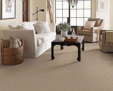 asheville-carpet-installers